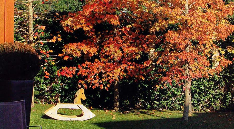 Hojas de otoño para crear abono casero
