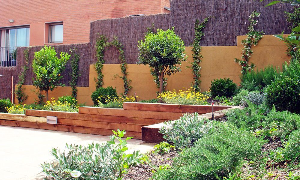 Vista general del jardín en Vallvidrera con diferentes niveles y arbustos de bajo mantenimiento.