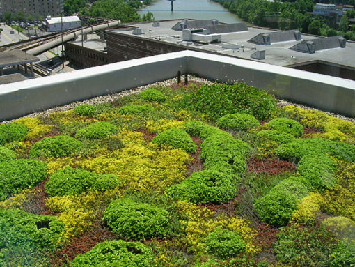 Una cubierta vegetal en el centro de una ciudad. Una opcion verde y sostenible.